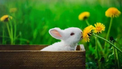 世界杯比赛直播地址-U20女足亚洲杯：中国队3-0战胜越南收获开门红